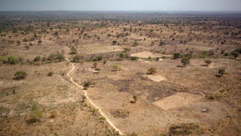 Massacre de Paoua: la République centrafricaine promet que justice sera faite Massacre de Paoua: la République centrafricaine promet que justice sera faite