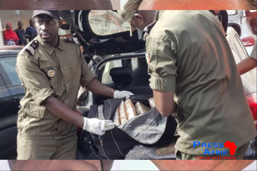 Drogue saisie au Port: la Douane sénégalaise réclame 243,21 milliards à Grimaldi et Dakar Terminal Drogue saisie au Port: la Douane sénégalaise réclame 243,21 milliards à Grimaldi et Dakar Terminal