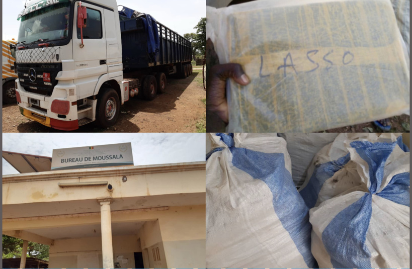 Région de Tamba: La Douane saisit près de 600 Kg de chanvre indien en une semaine