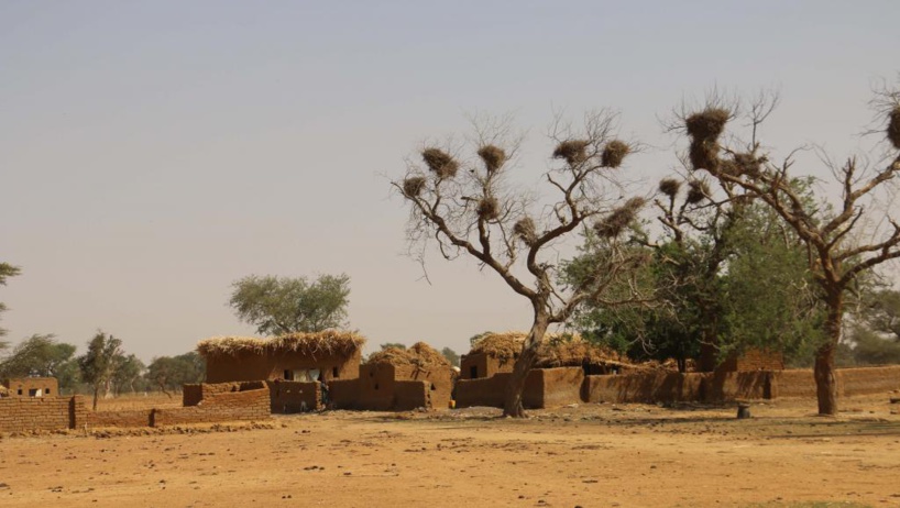 Congrès du Pulaaku sur la sécurisation des éleveurs pasteurs dans le Sahel
