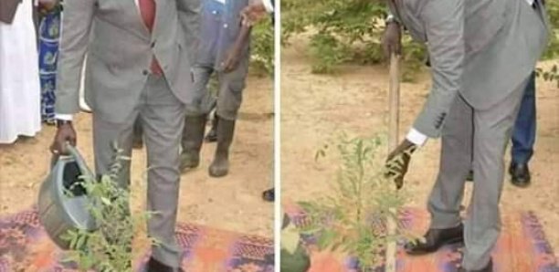 Habillé en costume cravate, le ministre de l’Environnement plante un arbre debout sur une natte