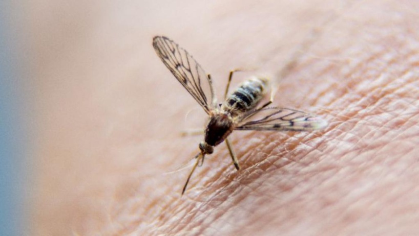 Les raisons de l'épidémie de paludisme au Burundi