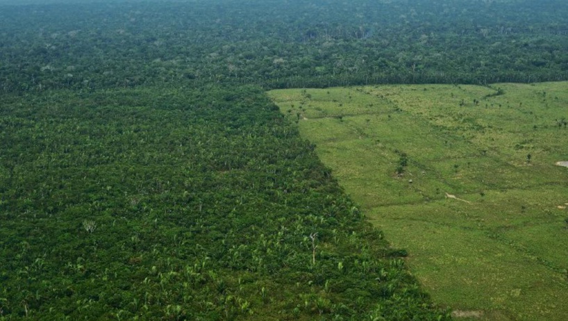 Brésil: sous Bolsonaro, la déforestation de l'Amazonie continue de s'accélérer Brésil: sous Bolsonaro, la déforestation de l'Amazonie continue de s'accélérer