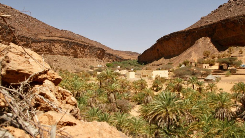 Changement climatique: les oasis sahariennes en danger Changement climatique: les oasis sahariennes en danger
