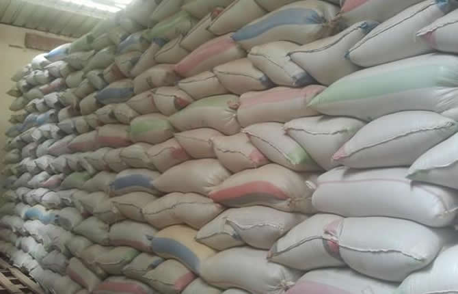 19 tonnes de riz impropre à la consommation saisies dans la commune de Ndangalma à Bambey 
