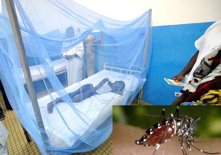 La dengue refait surface ! Un cas signalé à Kaolack