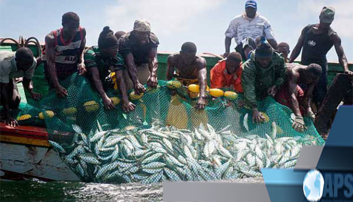 Près de 130 000 tonnes de poissons débarquées en 2018 au quai de pêche de Joal-Fadiouth