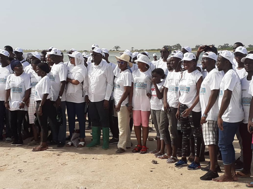 Environnement : plus de 27 000 palétuviers plantés dans la mangrove de Palmarin