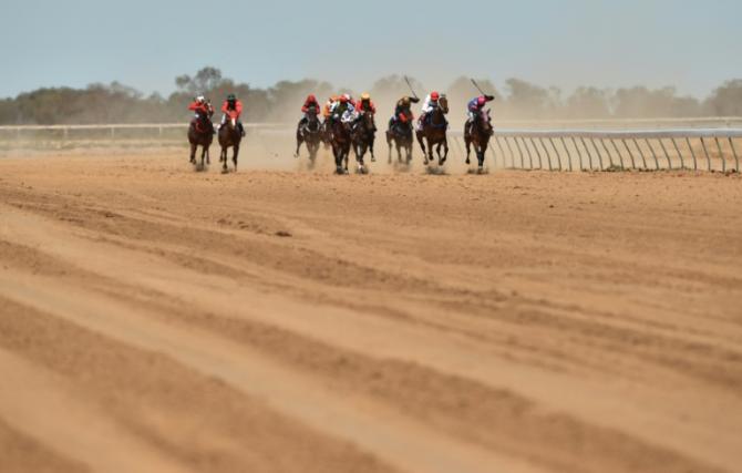 L'Australie choquée par un reportage sur l'abattage massif de chevaux de course