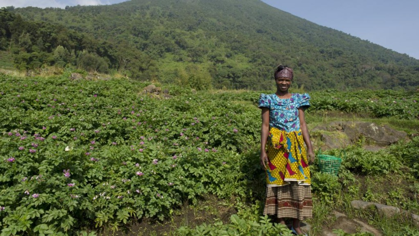 Malgré l'accord, la crise entre Rwanda et Ouganda fait monter les prix Malgré l'accord, la crise entre Rwanda et Ouganda fait monter les prix