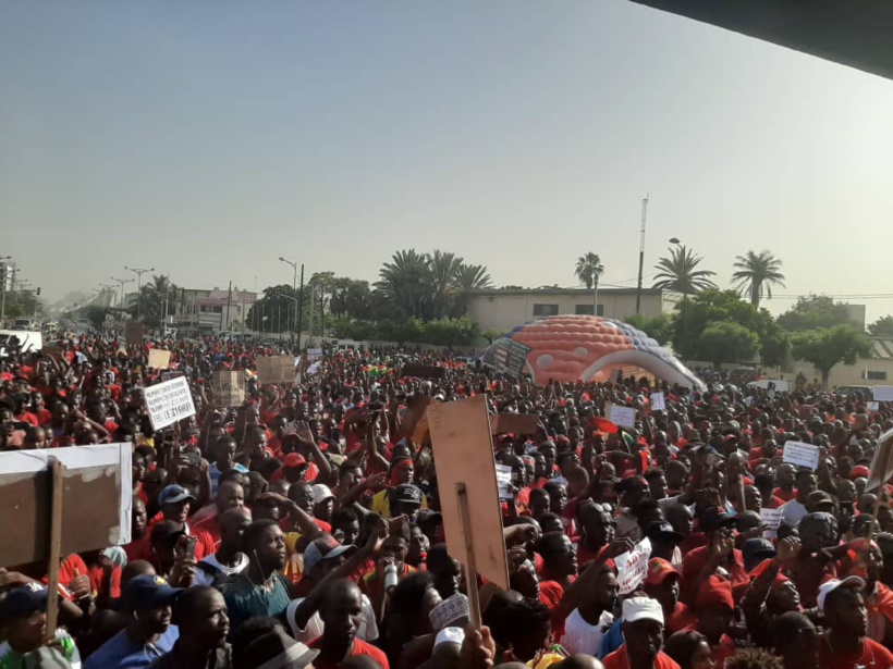 "En Afrique, nous avons la classe politique la plus bête du monde"