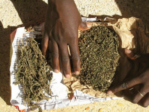 Trafic de drogue à Ouakam : deux Guinéennes, vendeuses de mets, arrêtées