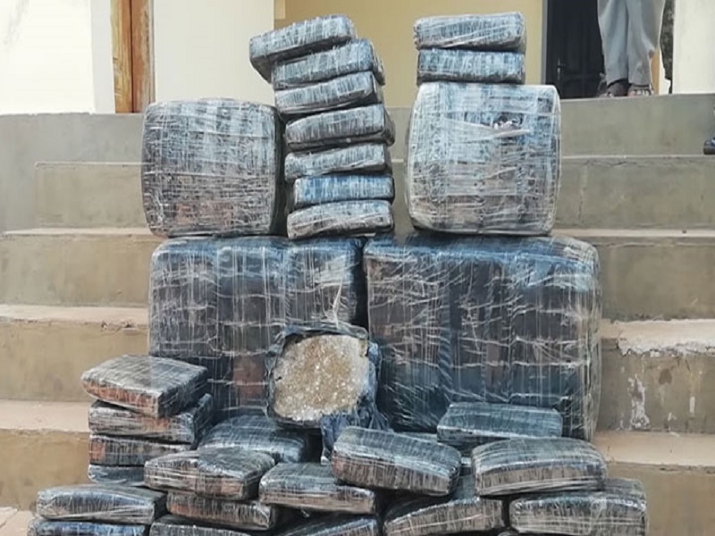 ​Saisie de cocaïne au large de Dakar : les mis en cause ont peur de « balancer » le cerveau