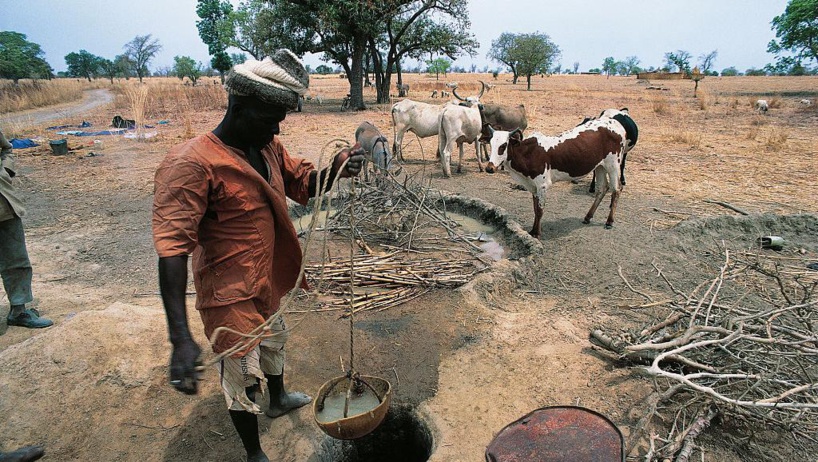 Burkina Faso: la crise sécuritaire engendre une crise du bétail Burkina Faso: la crise sécuritaire engendre une crise du bétail