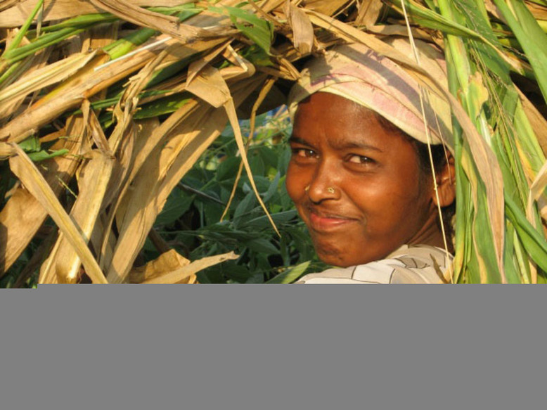 Journée internationale de la femme: le rôle crucial de la femme rurale
