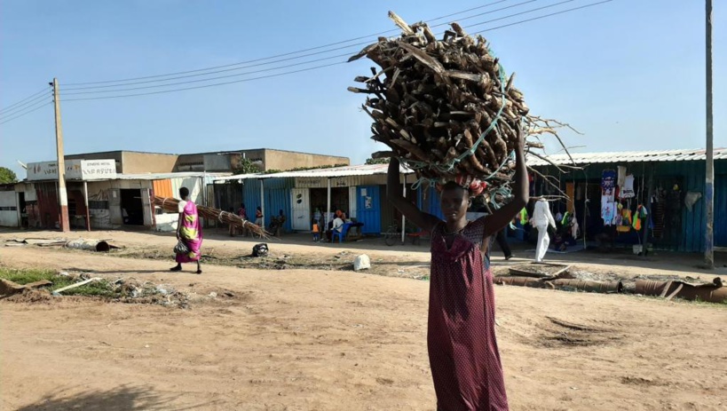 Soudan du Sud: les risques de viols encourus par les femmes déplacées