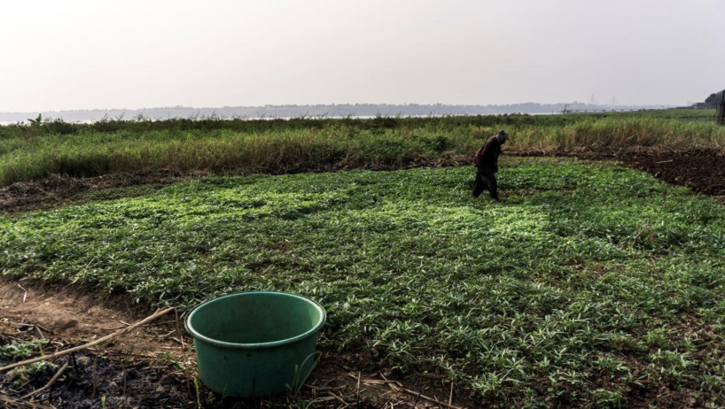 RDC: quatre banques de développement visées par Human Rights Watch