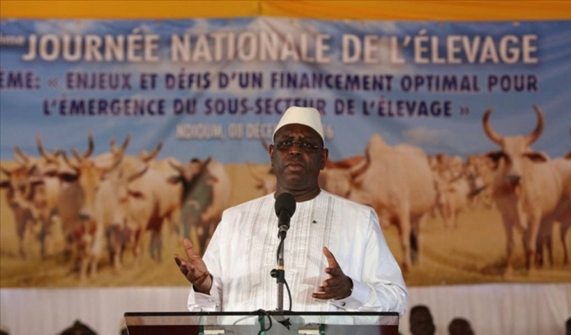 A Kael, le Président Macky Sall promet 2 milliards de F CFA aux éleveurs A Kael, le Président Macky Sall promet 2 milliards de F CFA aux éleveurs