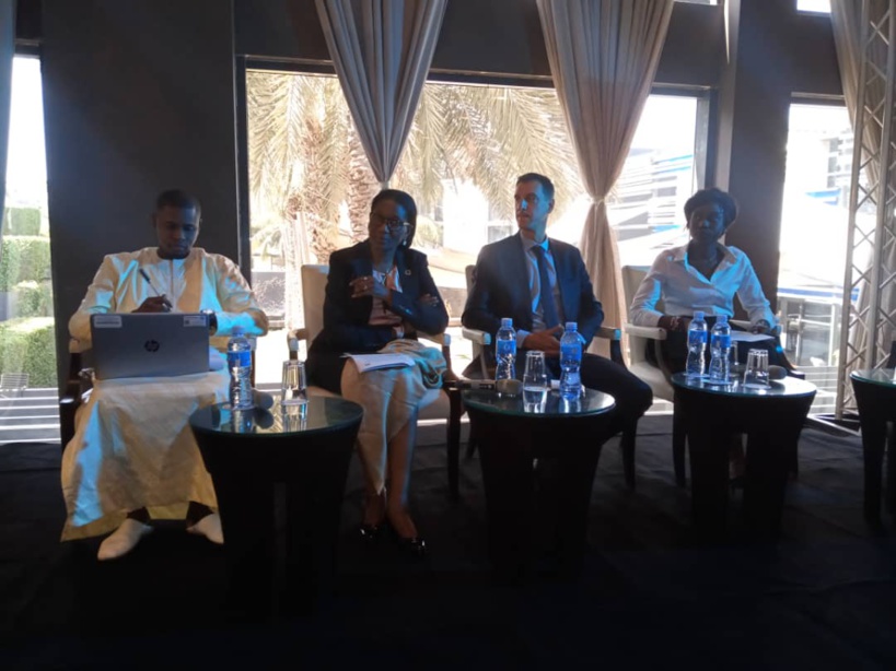 Financement de la croissance verte en Afrique : 12.500 milliards de F CFA évoqués à l’horizon 2035