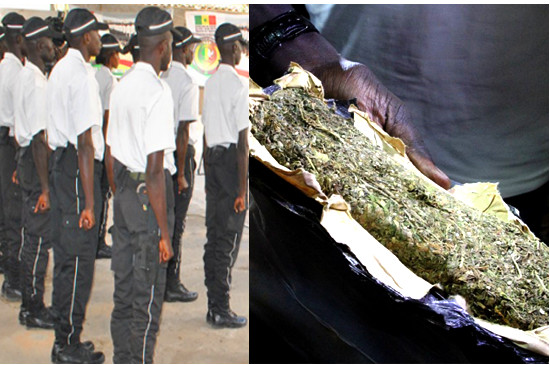 Touba: un Asp tombe avec 250 g et 5 cornets de chanvre indien