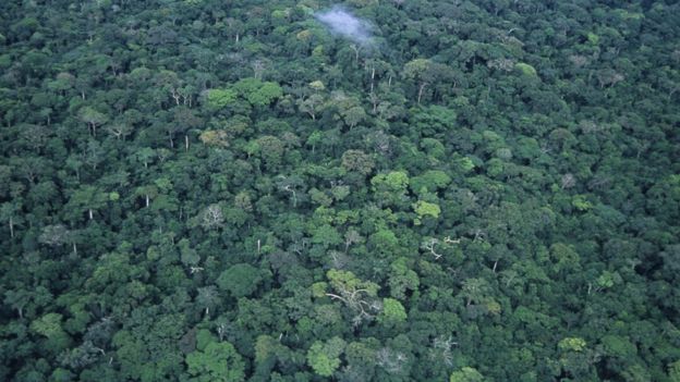 Comment l'Afrique risque d'être affectée par le changement climatique