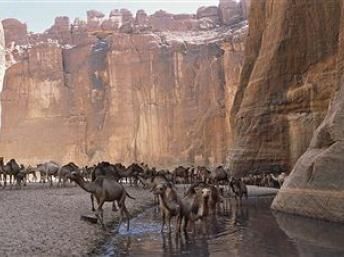 De vastes réserves d'eau dans le sous-sol tchadien ... Getty Images Un troupeau de dromadaires dans le massif Ennedi, au Tchad.