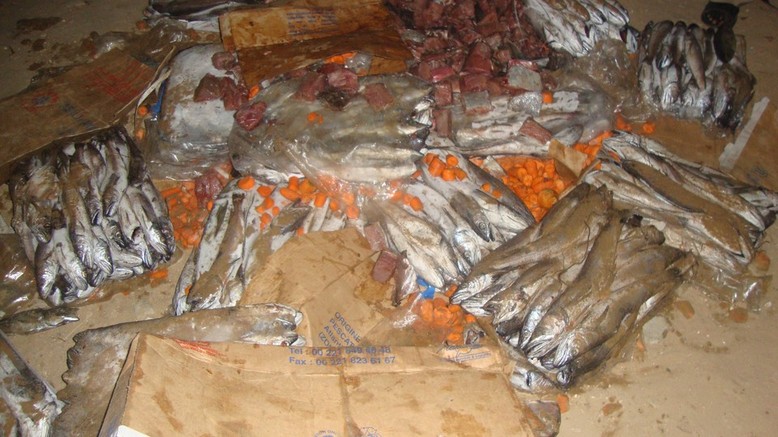 Photo – reportage - Emeute au campus de l’Ucad : Les étudiants dénichent des aliments périmés