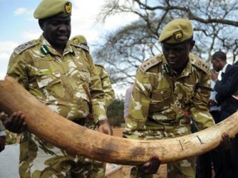 Côte d’Ivoire: la difficile évaluation du blanchiment d’argent en Afrique de l’Ouest