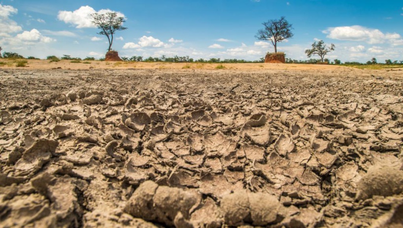 Afrique australe: 45 millions de personnes menacées par la famine