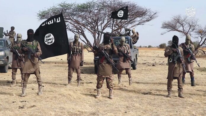 Tchad: Six militaires tués dans une attaque de Boko Haram