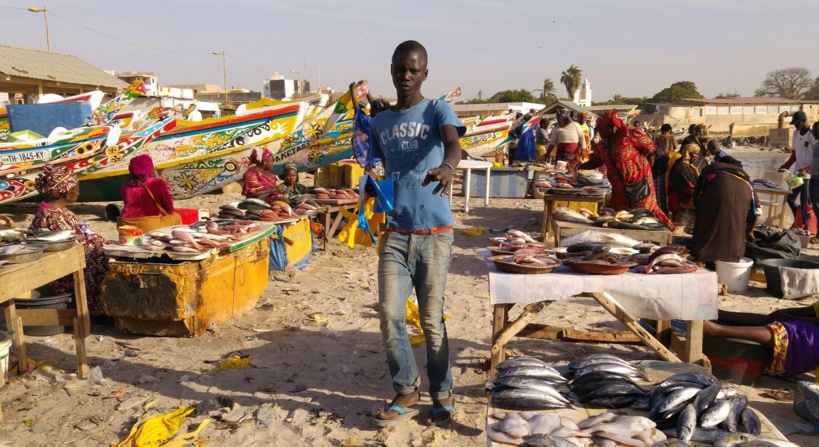 Plage de Soumbédioune et marché Dior: des poissons introuvables ou hors de portée