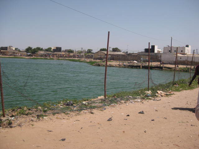 PHOTOS [REPORTAGE] Djiddah Thiaroye Kao où le nid  des "bassins de la mort"