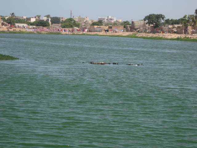 PHOTOS [REPORTAGE] Djiddah Thiaroye Kao où le nid  des "bassins de la mort"