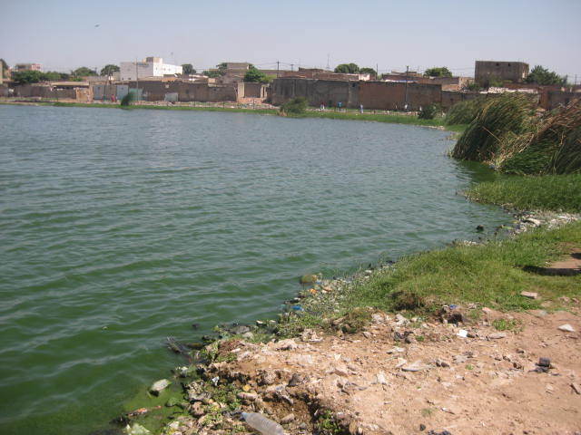 PHOTOS [REPORTAGE] Djiddah Thiaroye Kao où le nid  des "bassins de la mort"