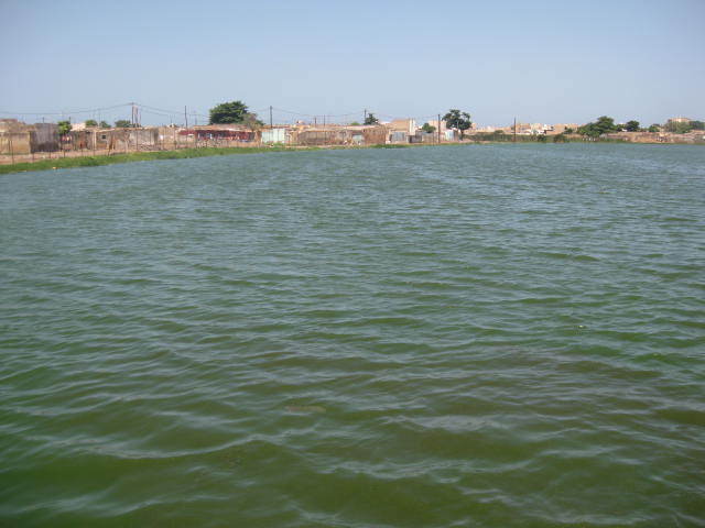 PHOTOS [REPORTAGE] Djiddah Thiaroye Kao où le nid  des "bassins de la mort"