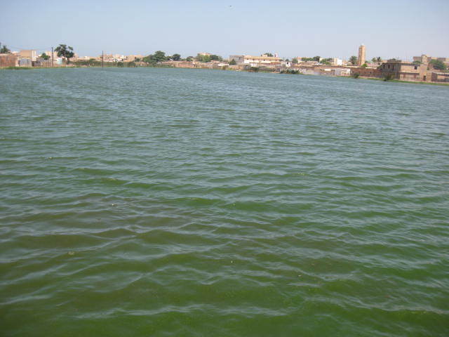 PHOTOS [REPORTAGE] Djiddah Thiaroye Kao où le nid  des "bassins de la mort"