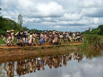 Madagascar veut miser sur le tourisme durable et éthique, qui profite à la population locale, respecte l’environnement et s’intéresse à la culture du pays, ici dans le sud-est, le 18 mai 2012. Aline Ranaivoson /RFI