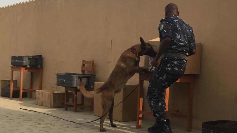 Au Bénin, la brigade canine se renforce et se modernise