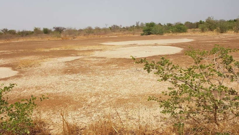 Gérer les ressources naturelles : la technique de la «mise en défens» Gérer les ressources naturelles : la technique de la «mise en défens»