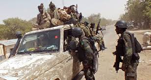 Tchad: quelle stratégie face à Boko Haram?