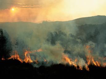 Un feux de brousse dévastateur à Madagascar. Daniel J. Cox