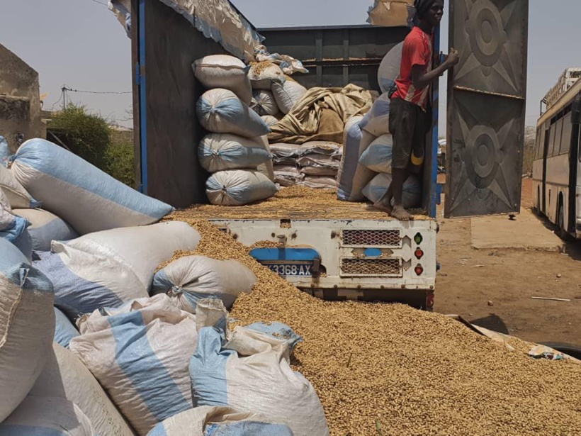 Sécurisation du marché domestique : 2400 cartons de lait, 1800 cartons de bonbons¸7 tonnes de sucres, saisis par la Douane Sécurisation du marché domestique : 2400 cartons de lait, 1800 cartons de bonbons¸7 tonnes de sucres, saisis par la Douane