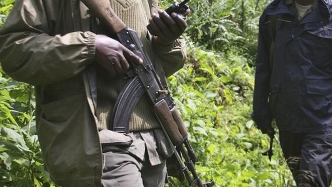 Le parc national des Virunga, en RDC, frappé par l'attaque la plus meurtrière