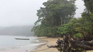 Recrudescence des crimes environnementaux à Madagascar