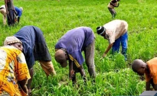 Covid-19 et Hivernage: le chef de l'Etat instruit les gouverneurs de faciliter le retour des agricultrices dans leurs terroirs