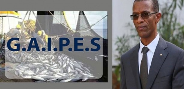 Licences illégales de Pêche: Réponse du GAIPES au ministre de la Pêche