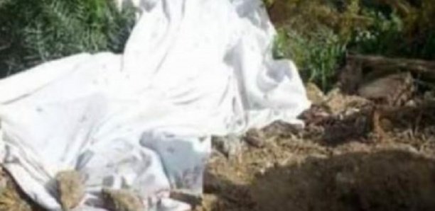 Bignona : le corps sans vie d’un homme découvert dans la brousse