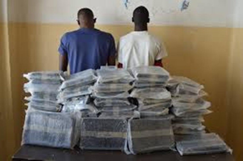 Thiès : un réseau de faux monnayage et de trafic de véhicules volés démantelé  