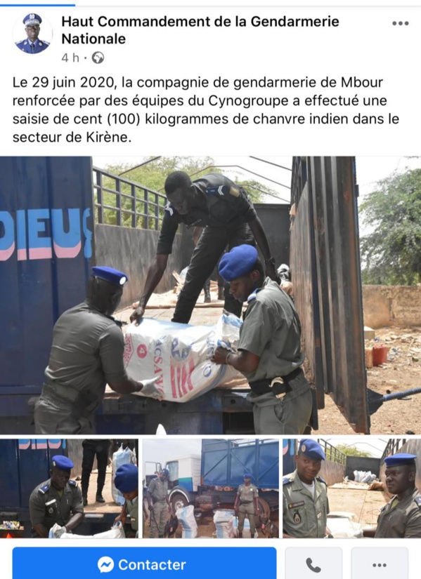 Mbour : 100 kg de chanvre indien saisis par la gendarmerie