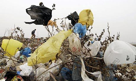 Bientôt des « Eco-boutiques » pour lutter contre l’envahissement des plastiques